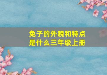 兔子的外貌和特点是什么三年级上册