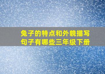 兔子的特点和外貌描写句子有哪些三年级下册