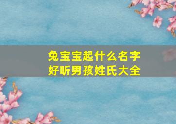 兔宝宝起什么名字好听男孩姓氏大全