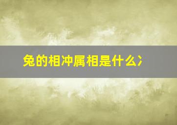 兔的相冲属相是什么冫