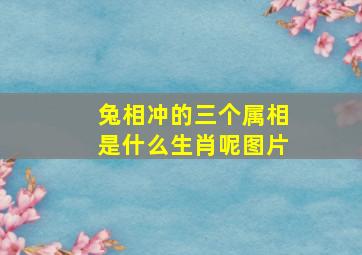 兔相冲的三个属相是什么生肖呢图片