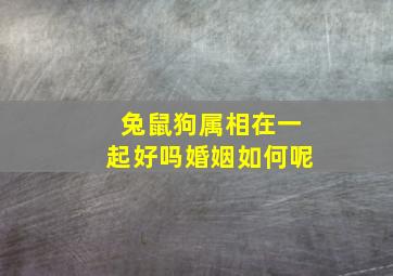 兔鼠狗属相在一起好吗婚姻如何呢