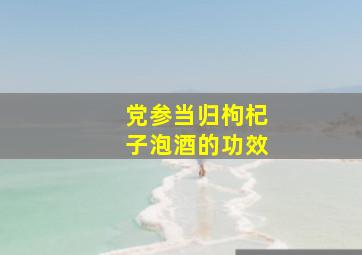 党参当归枸杞子泡酒的功效