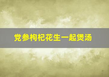 党参枸杞花生一起煲汤