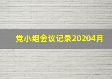 党小组会议记录20204月