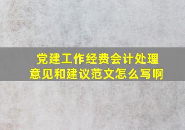 党建工作经费会计处理意见和建议范文怎么写啊