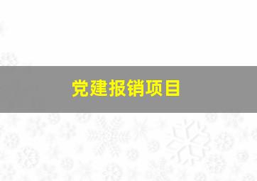 党建报销项目