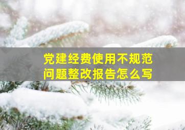 党建经费使用不规范问题整改报告怎么写