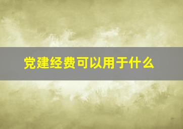 党建经费可以用于什么