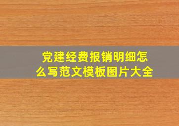 党建经费报销明细怎么写范文模板图片大全