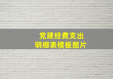 党建经费支出明细表模板图片