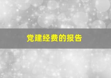 党建经费的报告