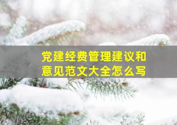 党建经费管理建议和意见范文大全怎么写