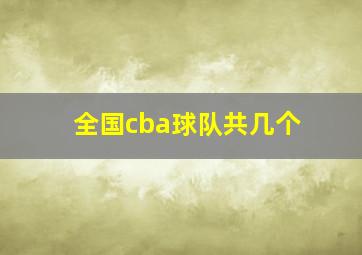 全国cba球队共几个