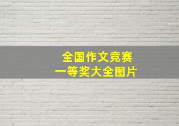 全国作文竞赛一等奖大全图片