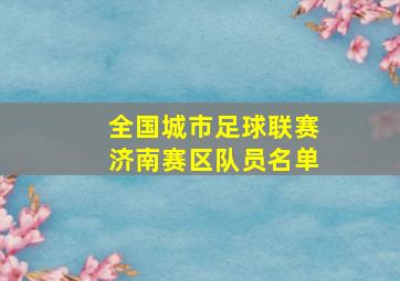 全国城市足球联赛济南赛区队员名单