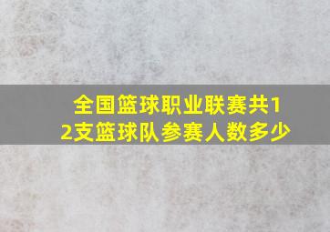 全国篮球职业联赛共12支篮球队参赛人数多少