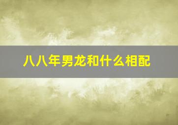 八八年男龙和什么相配