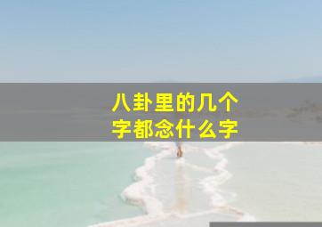 八卦里的几个字都念什么字