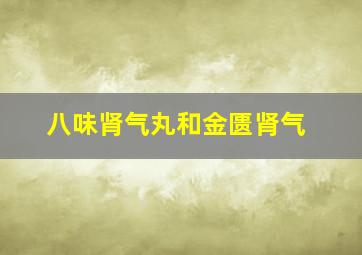 八味肾气丸和金匮肾气