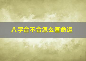 八字合不合怎么查命运