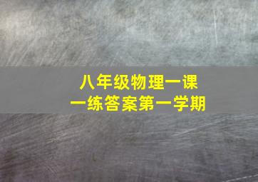 八年级物理一课一练答案第一学期