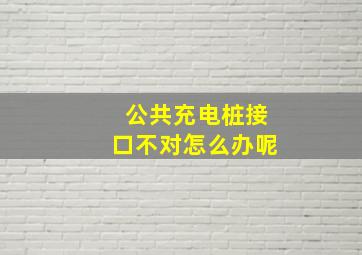 公共充电桩接口不对怎么办呢