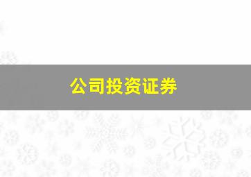 公司投资证券