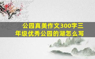 公园真美作文300字三年级优秀公园的湖怎么写