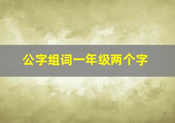 公字组词一年级两个字