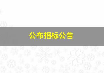 公布招标公告