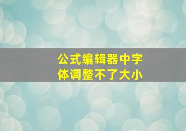 公式编辑器中字体调整不了大小