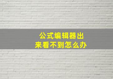 公式编辑器出来看不到怎么办