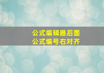 公式编辑器后面公式编号右对齐