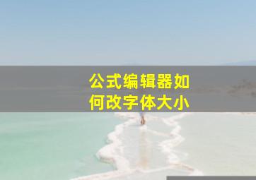 公式编辑器如何改字体大小