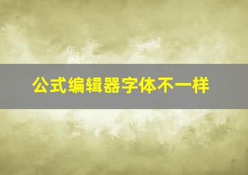 公式编辑器字体不一样