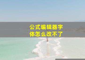 公式编辑器字体怎么改不了