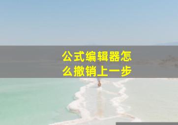 公式编辑器怎么撤销上一步