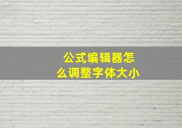 公式编辑器怎么调整字体大小