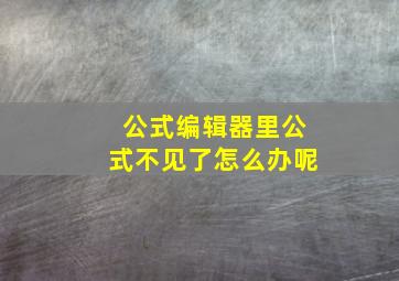 公式编辑器里公式不见了怎么办呢