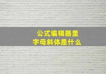 公式编辑器里字母斜体是什么