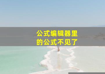 公式编辑器里的公式不见了