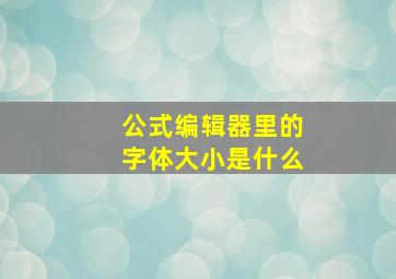 公式编辑器里的字体大小是什么