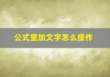 公式里加文字怎么操作