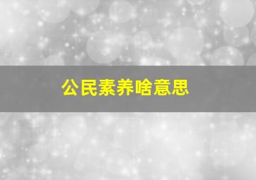 公民素养啥意思