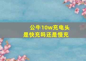 公牛10w充电头是快充吗还是慢充