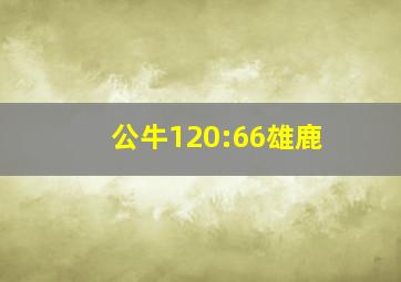 公牛120:66雄鹿