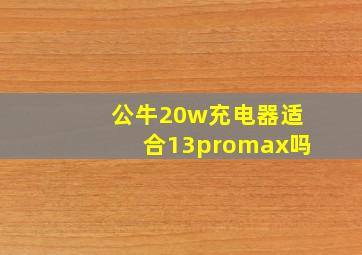 公牛20w充电器适合13promax吗