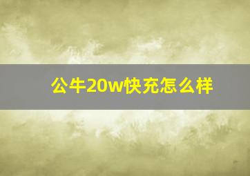 公牛20w快充怎么样