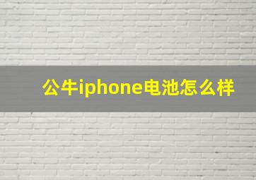 公牛iphone电池怎么样